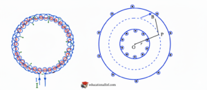Magnetic field inside a toroid showing concentric circular magnetic field lines