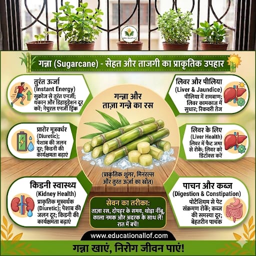 Sugarcane Benefits in Hindi