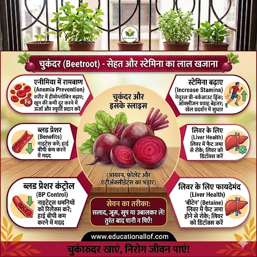 Beetroot Benefits in Hindi