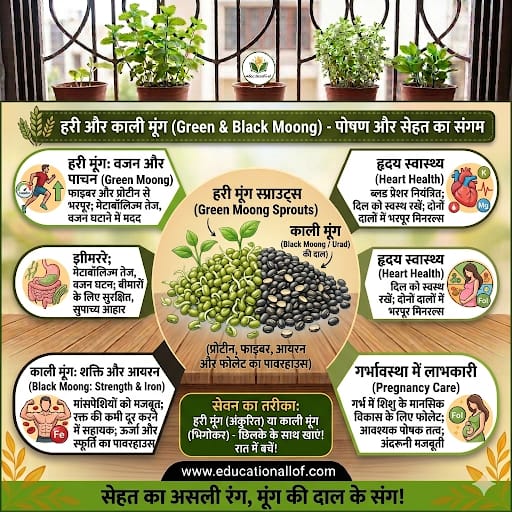 Green vs Black Moong Benefits