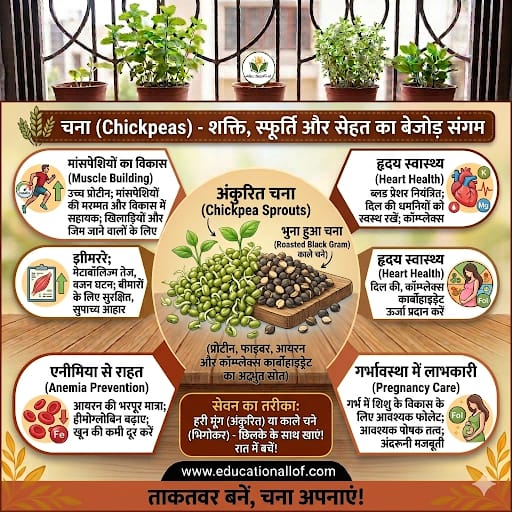 Chana Benefits in Hindi