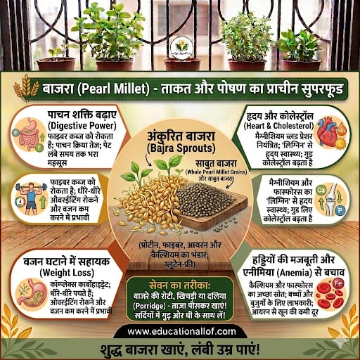 Bajra Benefits in Hindi
