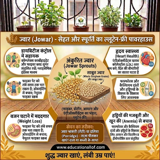 Jowar Benefits in Hindi