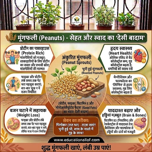Peanuts Benefits in Hindi
