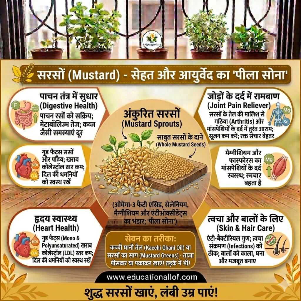 Mustard Benefits in Hindi