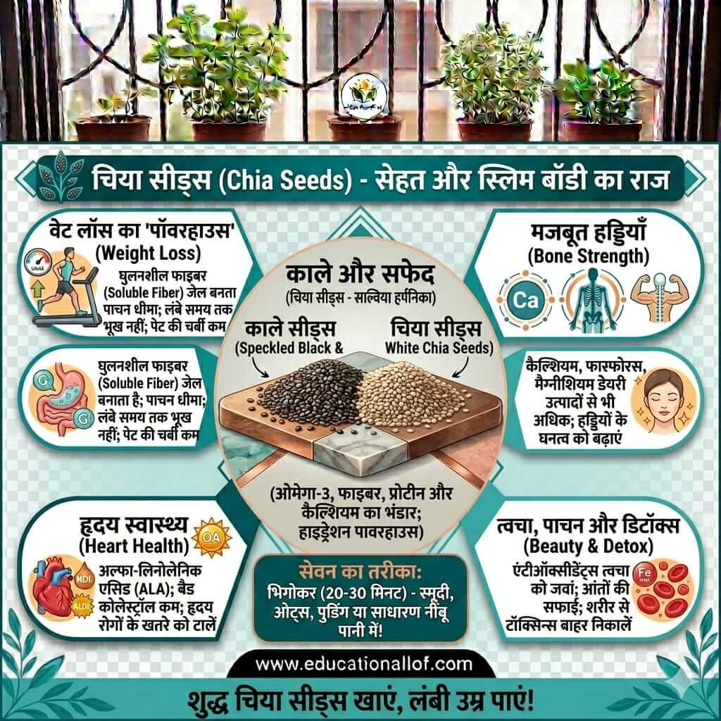 Chia Seeds Benefits in Hindi