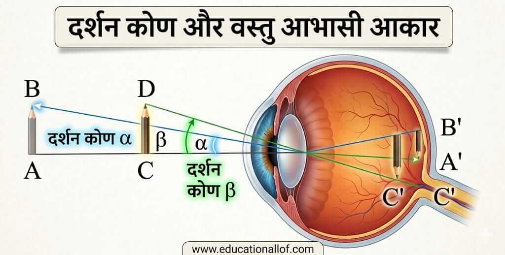 दर्शन कोण (Visual Angle) by educationallof