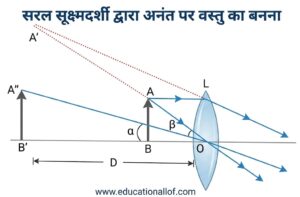 सरल सूक्ष्मदर्शी (Simple Microscope) by educationallof