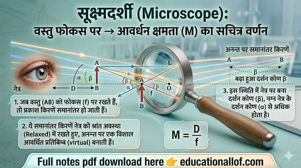 सूक्ष्मदर्शी (Microscope) by educationallof