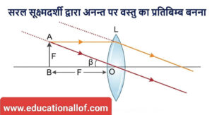 सरल सूक्ष्मदर्शी (Simple Microscope) by educationallof