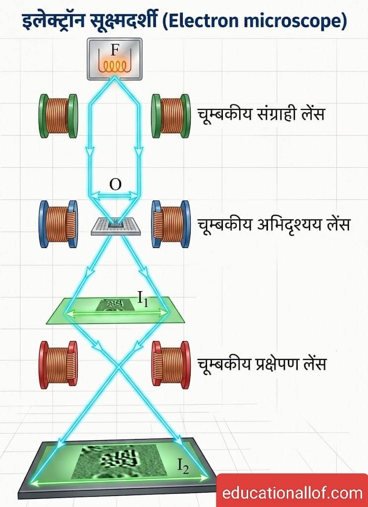 इलेक्ट्रॉन सूक्ष्मदर्शी (Electron Microscope) by educationallof
