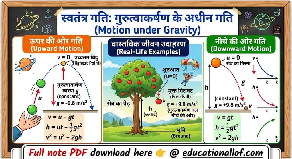 गुरुत्व के अधीन स्वतंत्र गति by educationallof