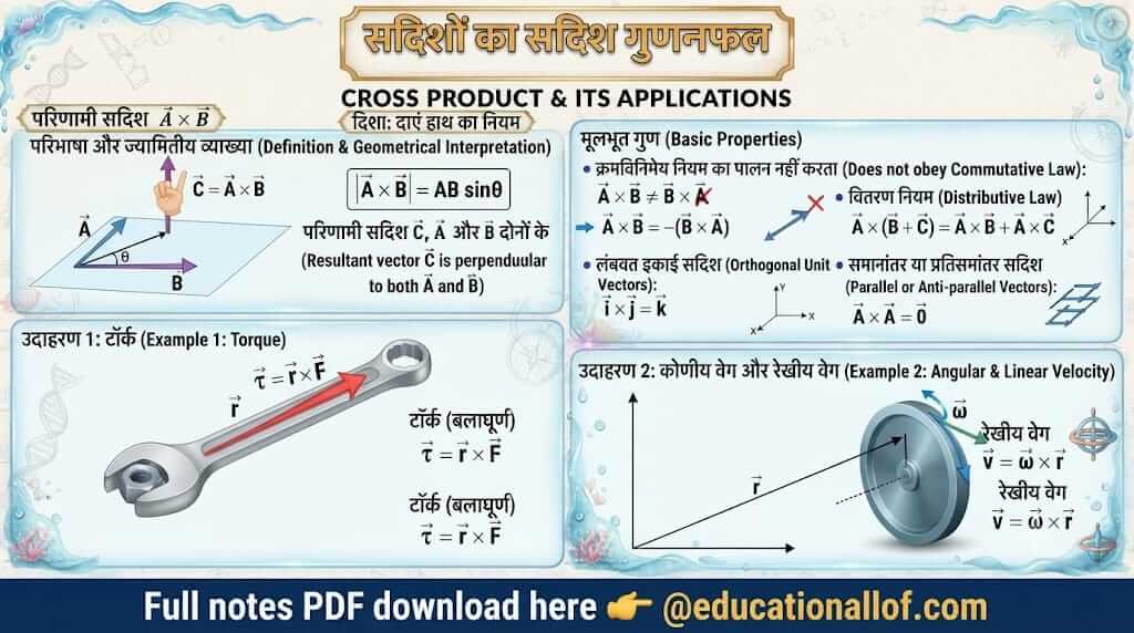 सदिशों का सदिश गुणनफल by educationallof
