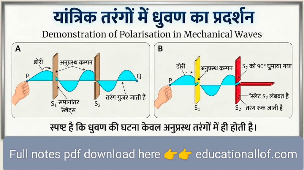यान्त्रिक-तरंगों में ध्रुवण का प्रदर्शन by educationallof