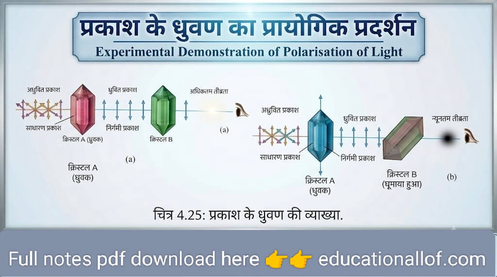 प्रकाश के ध्रुवण का प्रायोगिक प्रदर्शन by educationallof