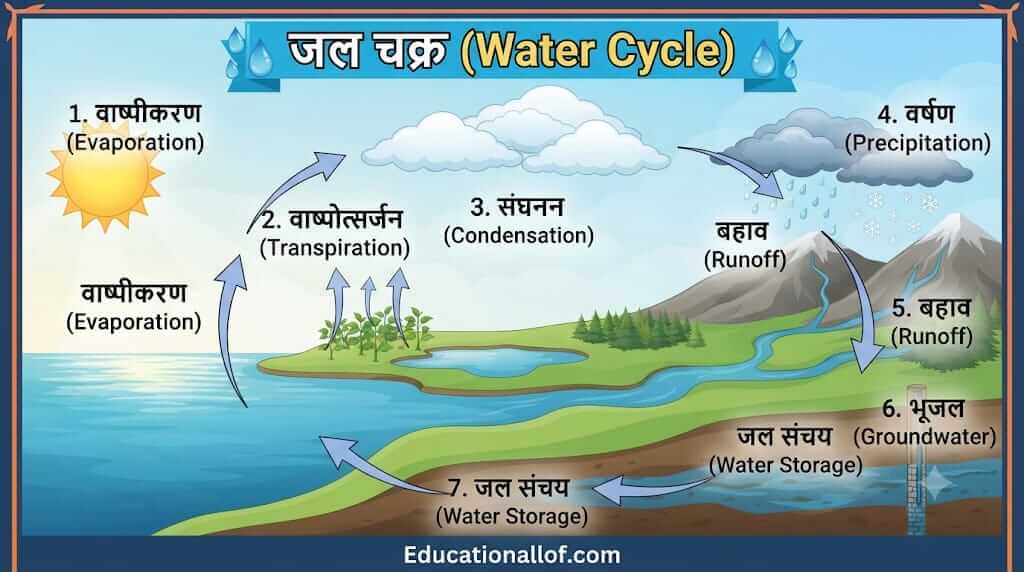 जल चक्र (Water Cycle) by educationallof