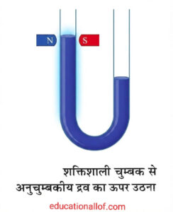 शक्तिशाली चुंबक से अनुचुंबकीय द्रव का ऊपर उठाना by educationallof