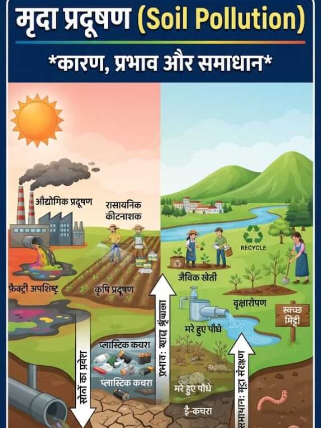 Soil Pollution in Hindi: कारण, प्रभाव और समाधान