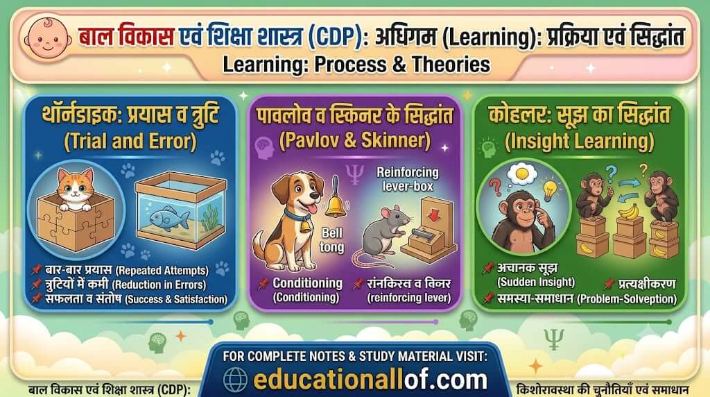 अधिगम के सिद्धांत by educationallof