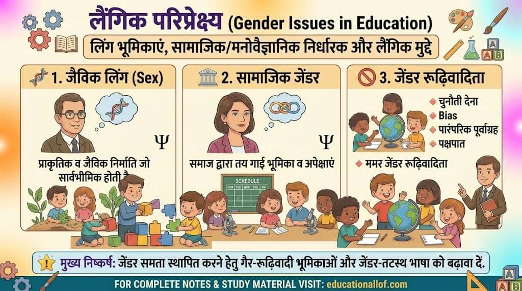 शिक्षा में लैंगिक परिप्रेक्ष्य gender issues by educationallof