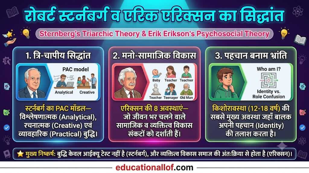 रोबर्ट स्टर्नबर्ग और एरिक एरिक्सन का सिद्धांत by educationallof