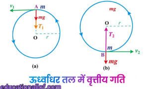 ऊर्ध्वाधर वृत्त में पिण्ड की गति (Motion of a Body in a Vertical Circle) by educationallof